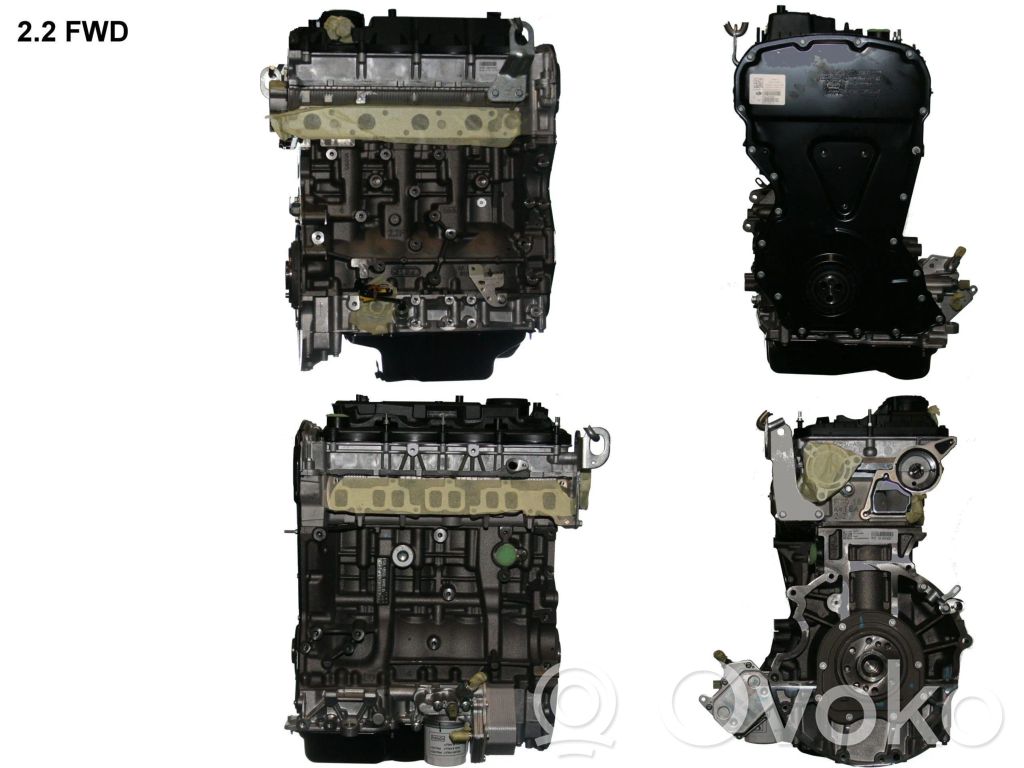 Motor   DRFC
