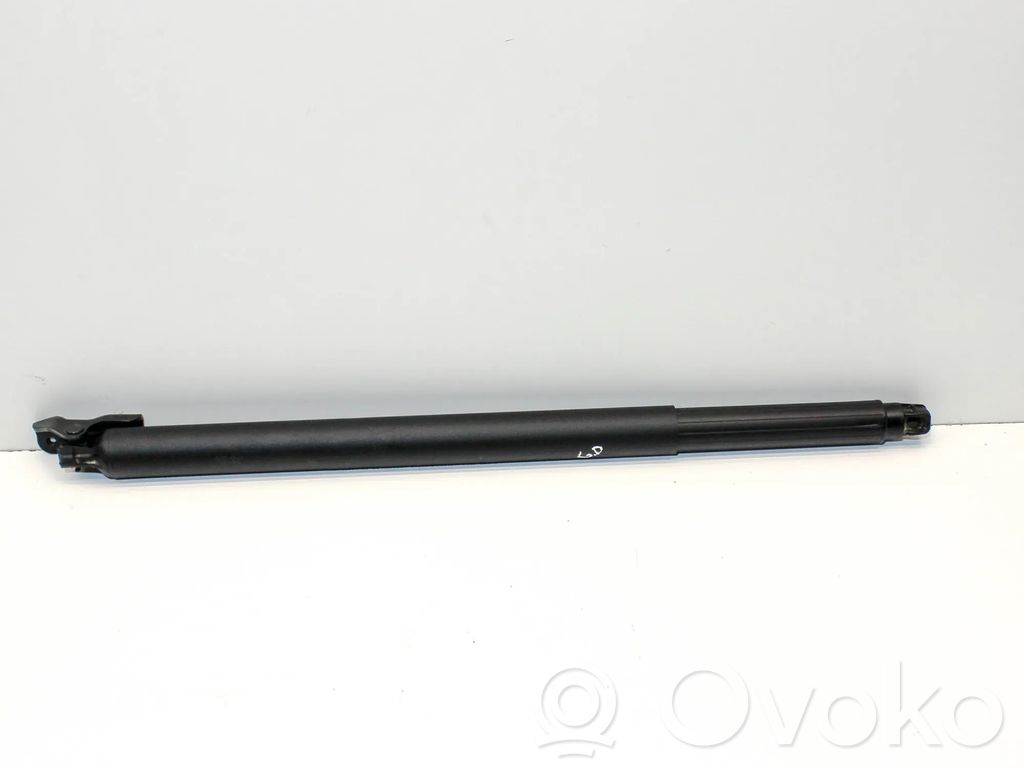Tailgate/trunk strut/damper   81841J7210