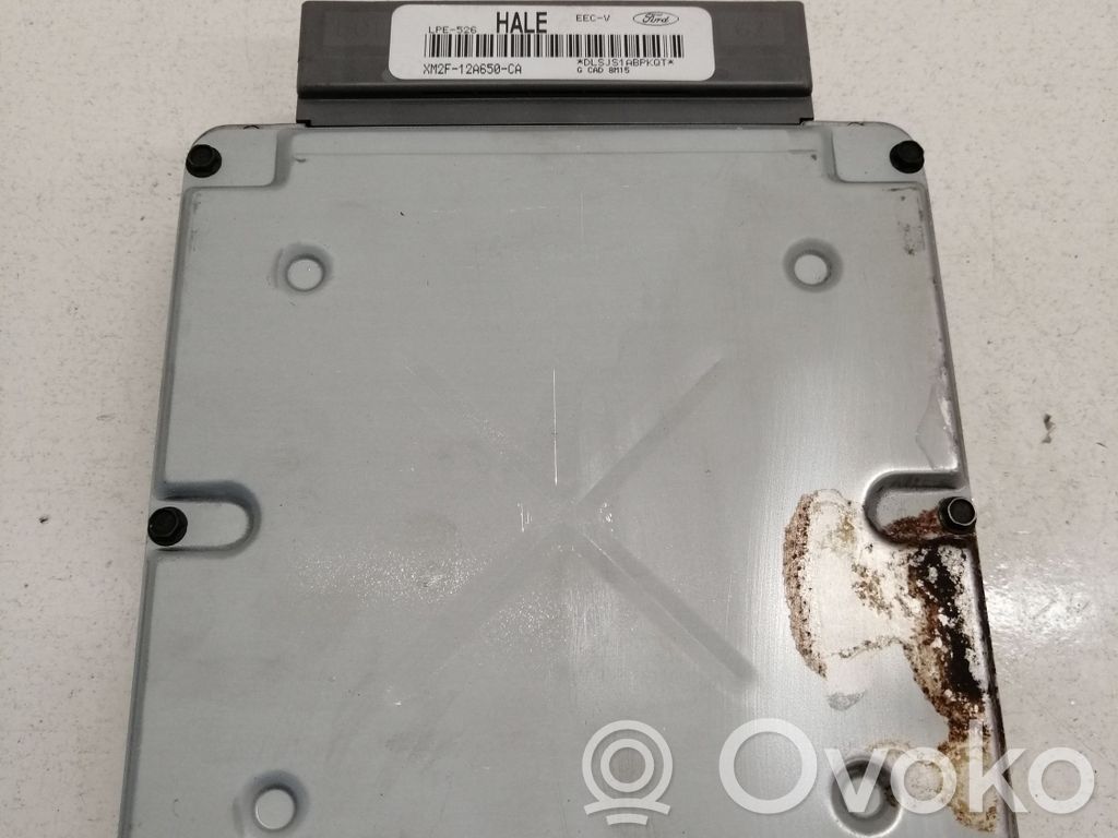 Ford Galaxy Dzinēja vadības bloks 