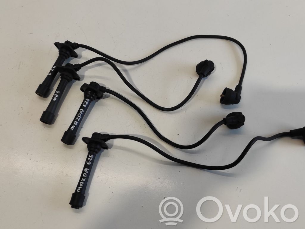Ignition plug leads