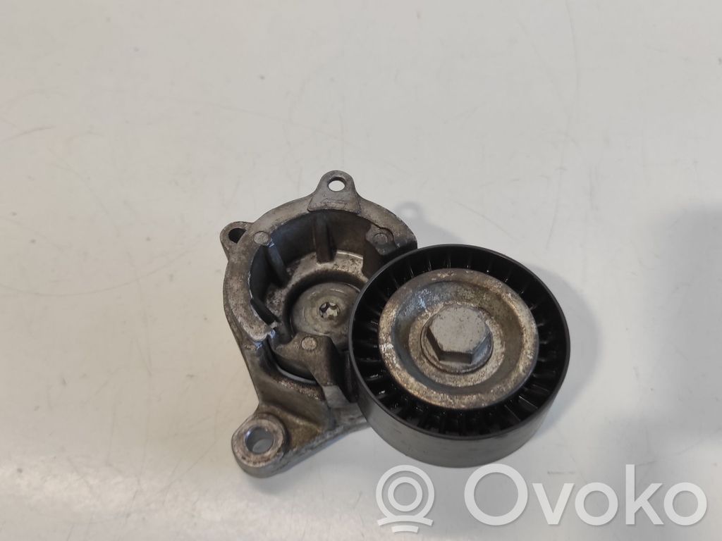 Peugeot 407 Diržo įtempėjas 