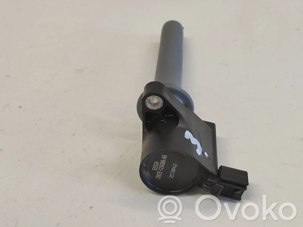 High voltage ignition coil   2M2E12A366AB