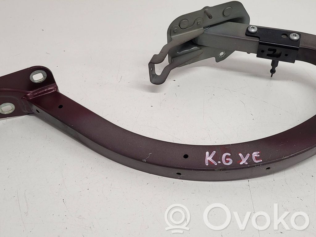 Jaguar XF X260 Tailgate/trunk/boot hinge 