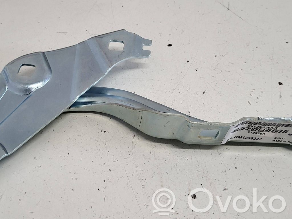 Buick Encore I Balamale capotă 