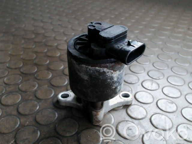 Peugeot 206 EGR vožtuvas