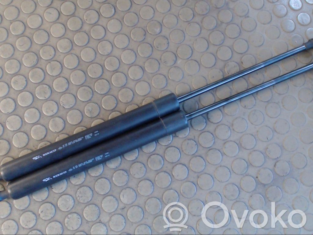 Renault Modus Tailgate/trunk strut/damper 