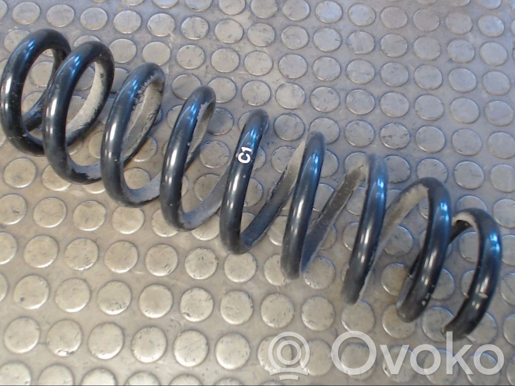 Rear coil spring   0000