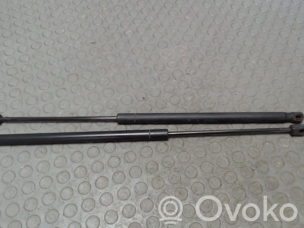 Ford Fusion Tailgate/trunk strut/damper 