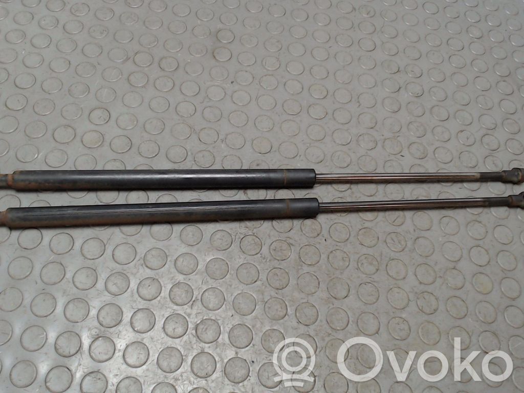 Tailgate/trunk strut/damper   51248232873,NICHTZUTREFFEND