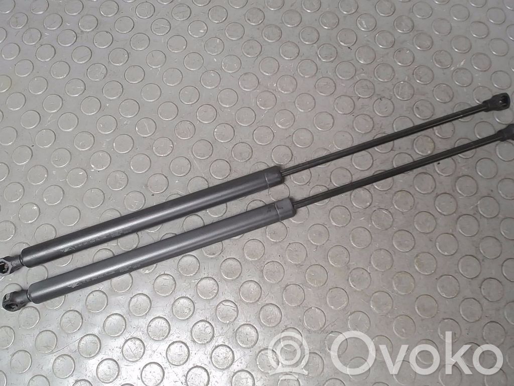 Peugeot 206 Amortizor hayon 