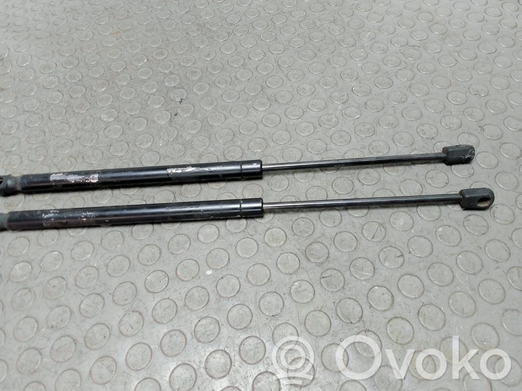 Tailgate/trunk strut/damper