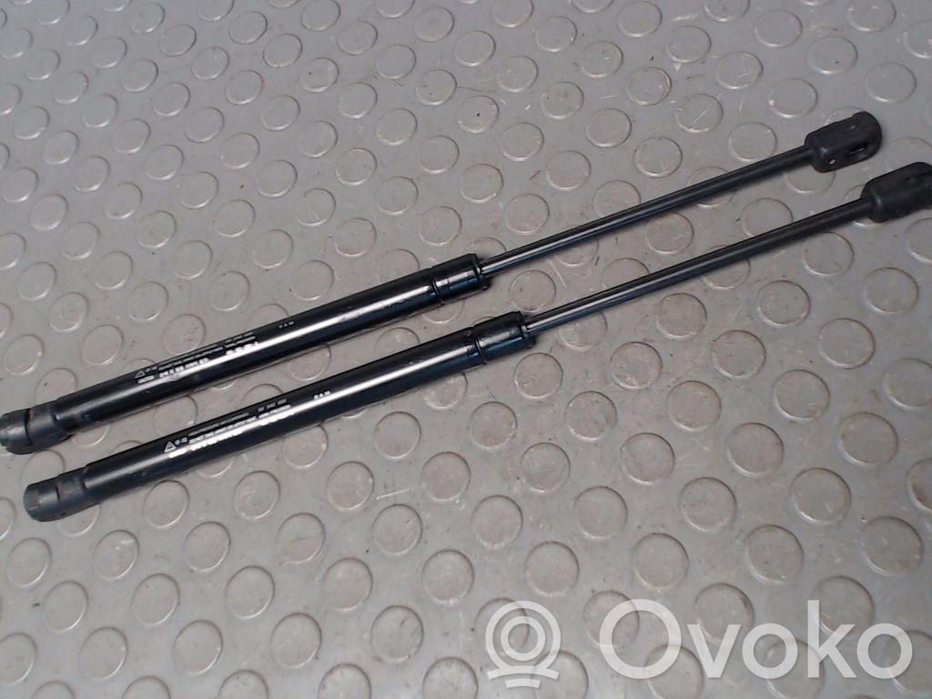 Tailgate/trunk strut/damper   96540939