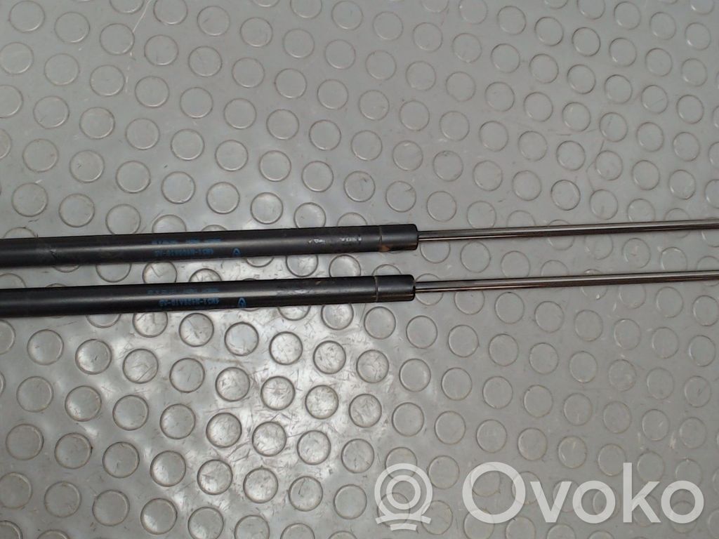 Ford Focus Tailgate/trunk strut/damper 