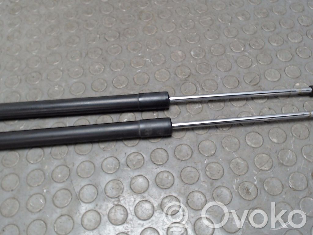 Renault Clio III Ammortizzatore portellone posteriore/bagagliaio 