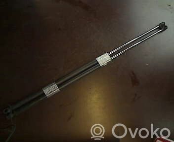 Tailgate/trunk strut/damper