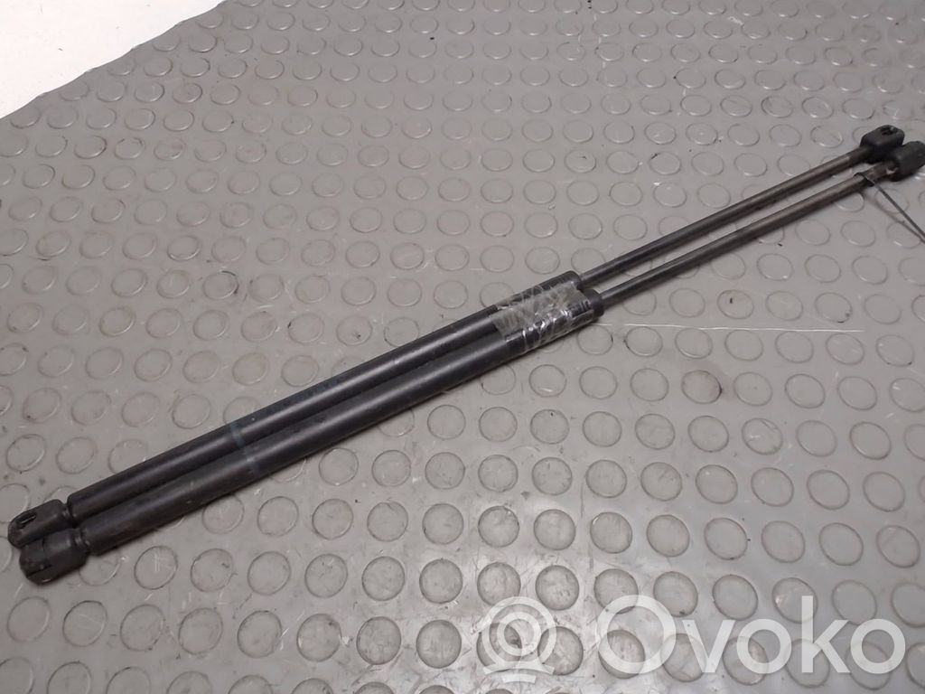 Tailgate/trunk strut/damper