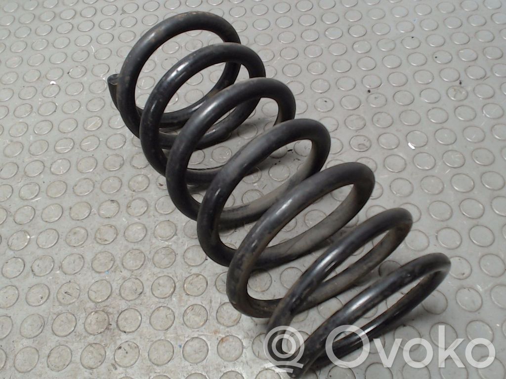 Rear coil spring