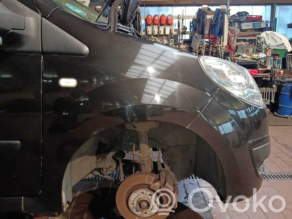 Renault Twingo II Guardabarro 