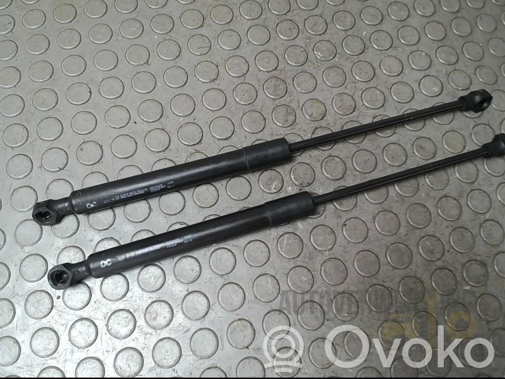 Renault Kangoo II Amortizor capotă motor 