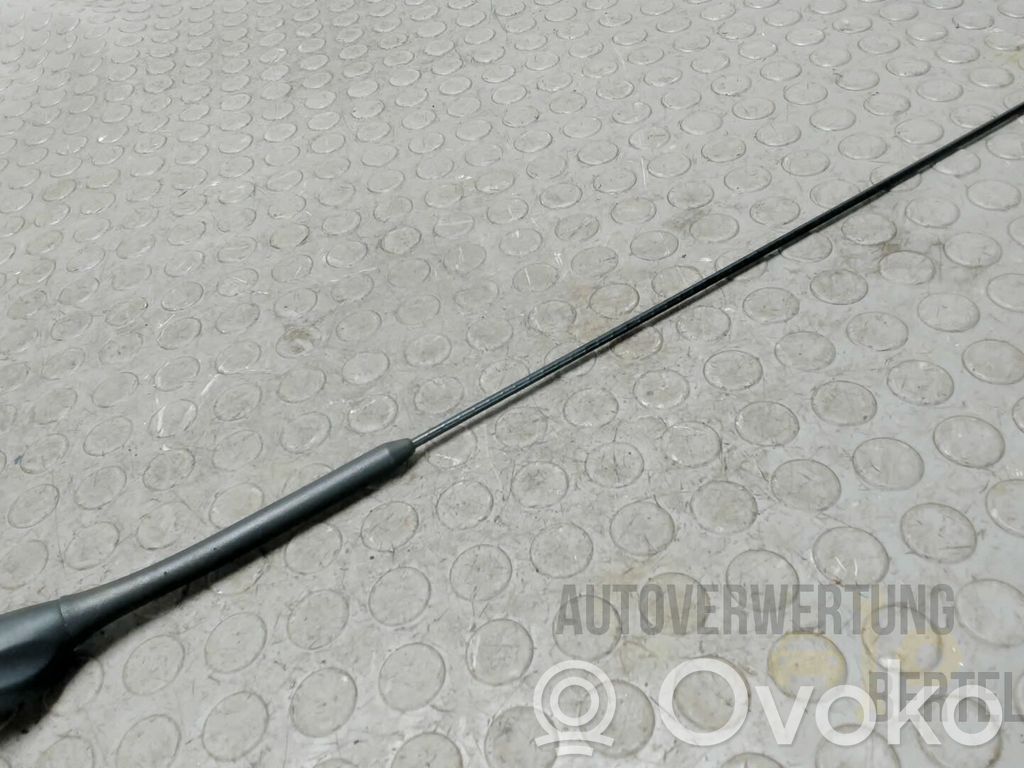 Antenna autoradio   2761990,1559265