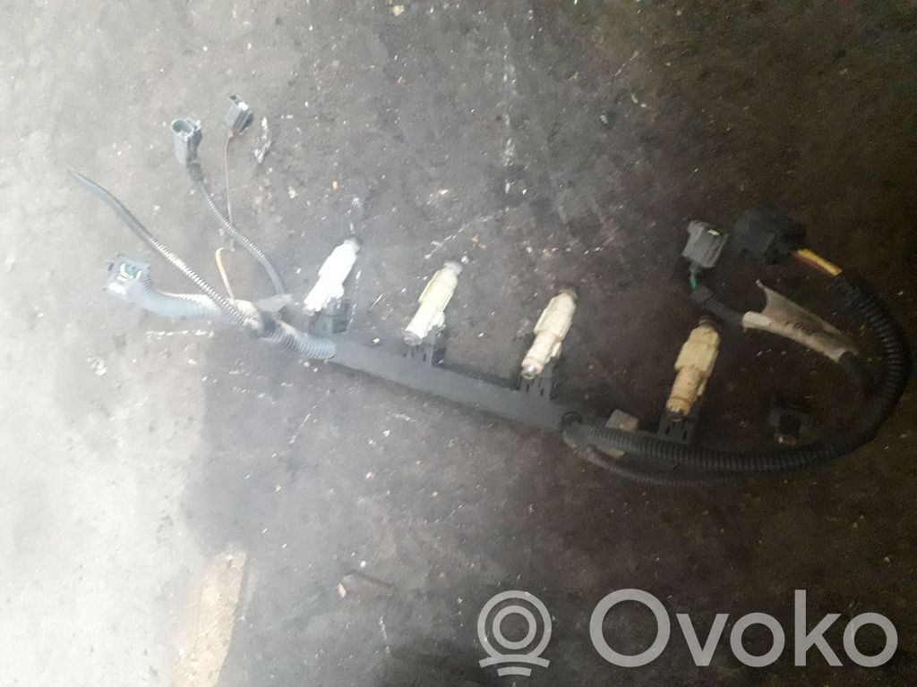 Injektor Einspritzdüse