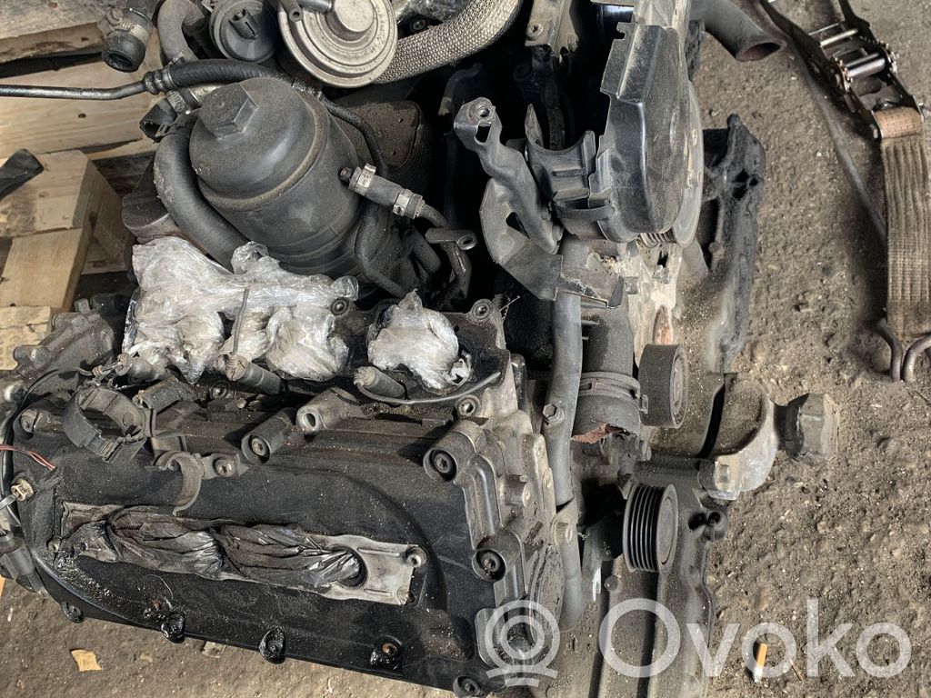 Motor   BSG