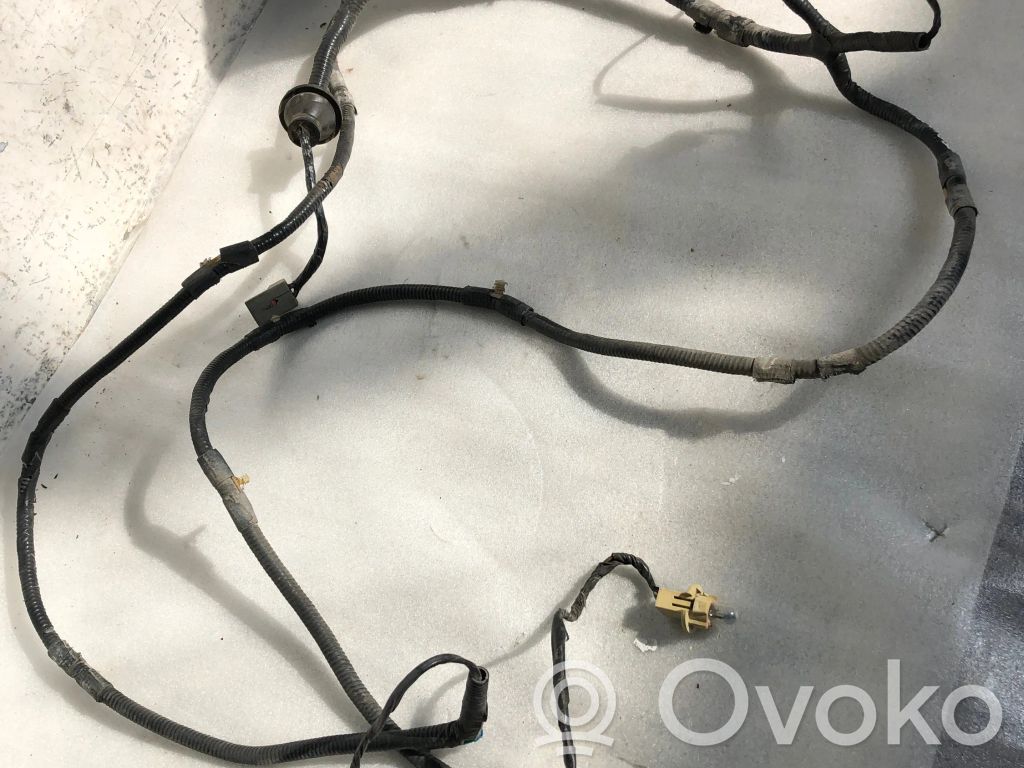 Other wiring loom