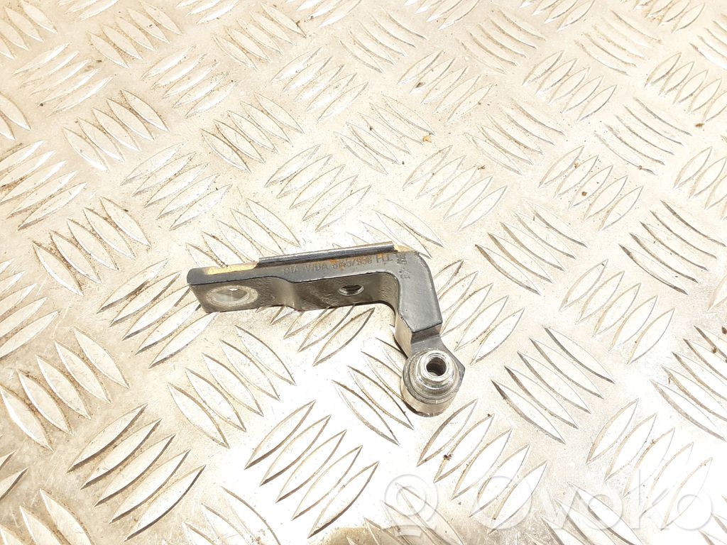 Front door lower hinge   31457958
