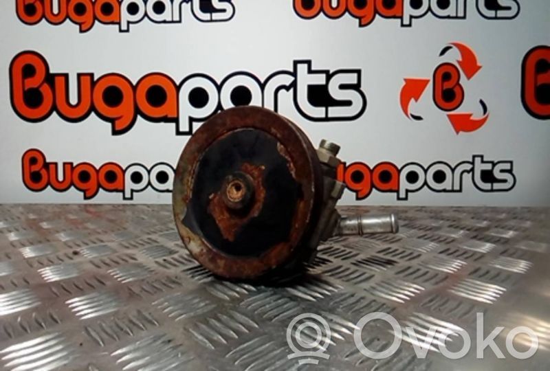Power steering pump   7691332118