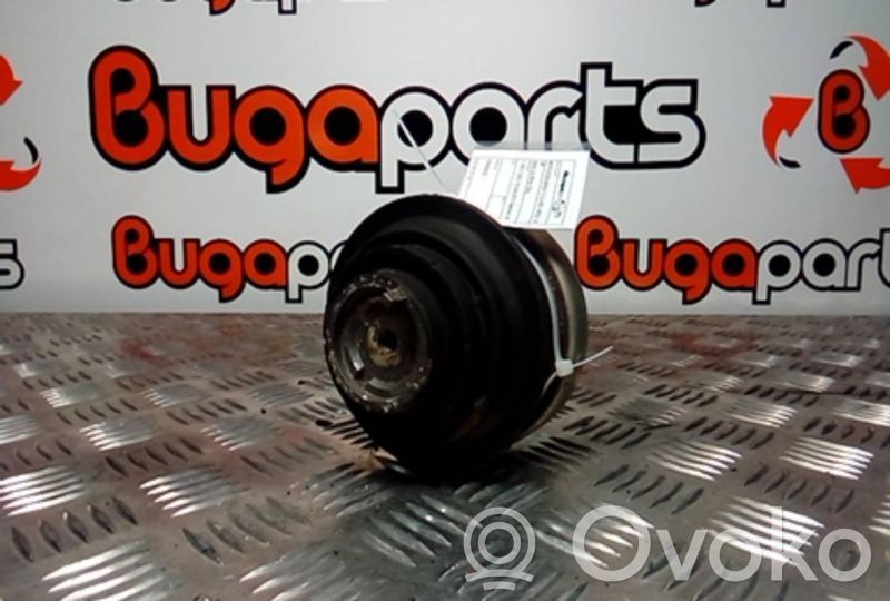 Engine mount bracket   233000032