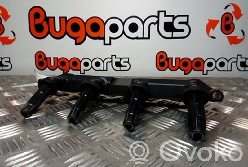 Peugeot 206 Bobină aprindere 