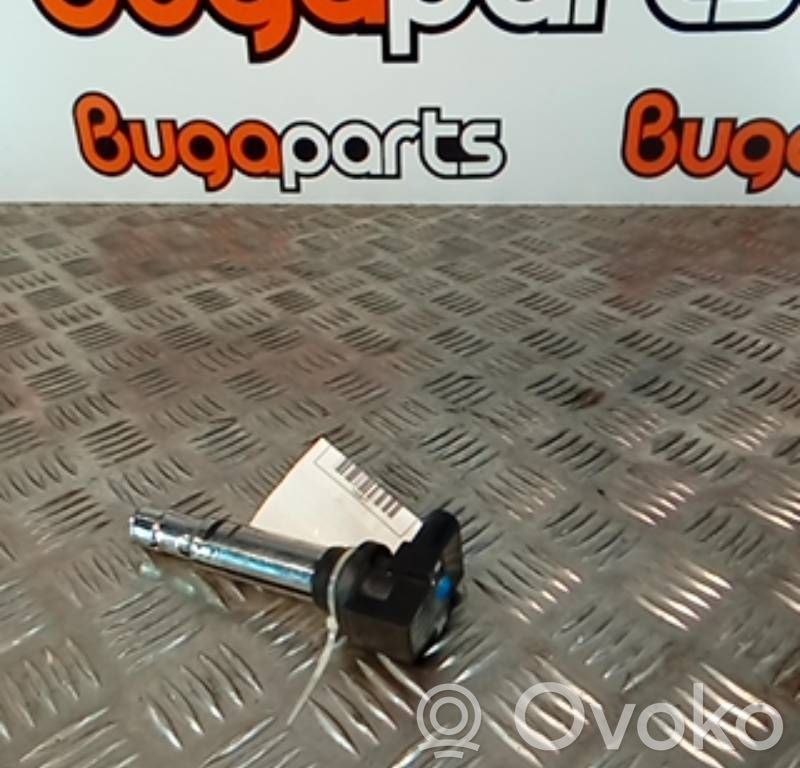 Aukštos įtampos ritė "babyna"   0986221023,BOSCH