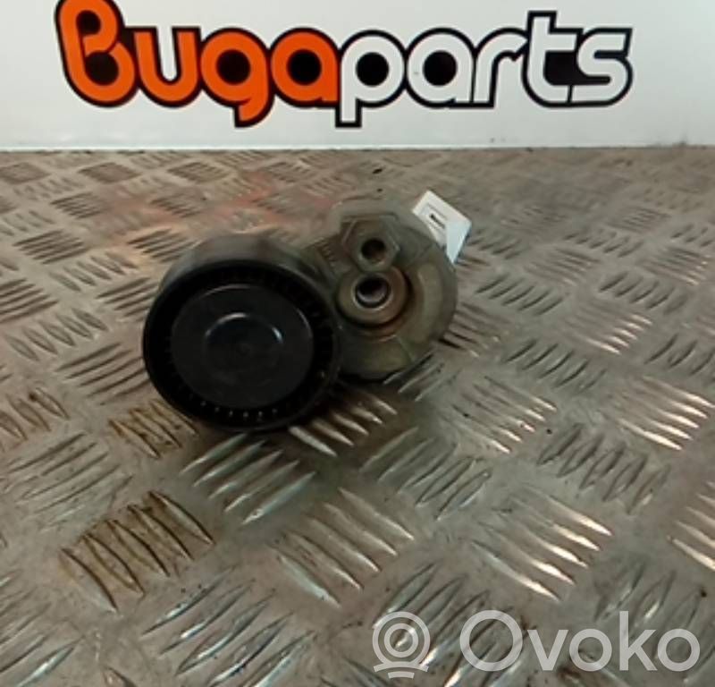 Generator/alternator belt tensioner   610625,K9K7505