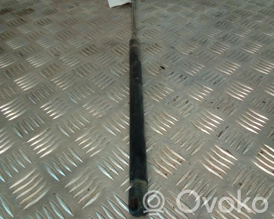 Tailgate/trunk strut/damper   90550245