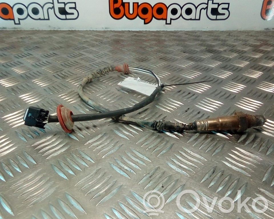 Rover 25 Зонд «Lambda» 