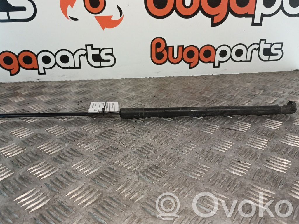Vérin de capot arrière   13182309,7597830245N