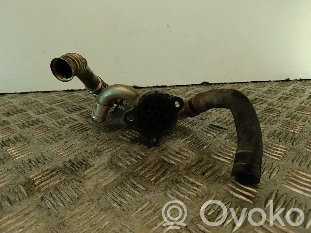 EGR dzesētājs   55197846