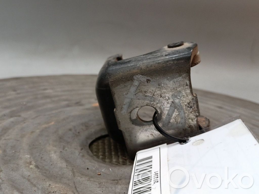 Renault Megane III Front door upper hinge 