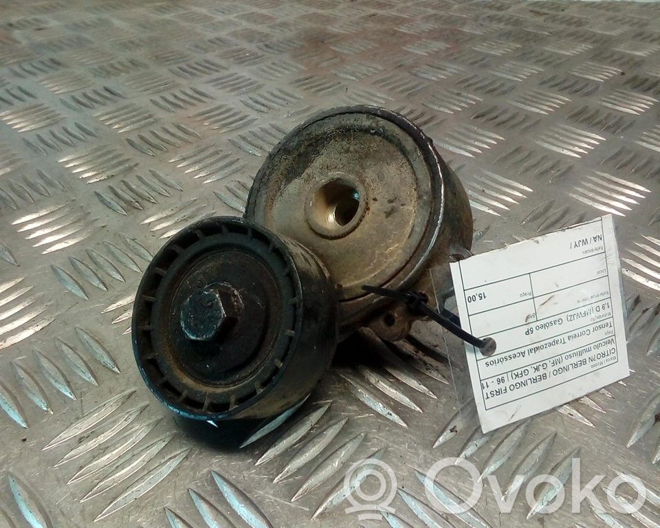 Tensor de correa del alternador   WJY
