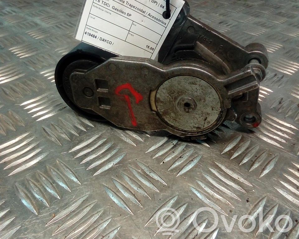 Siksnas spriegotājs   419484,DAYCO