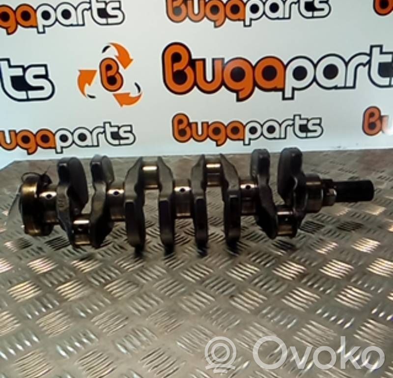 Vilebrequin du moteur   174T1