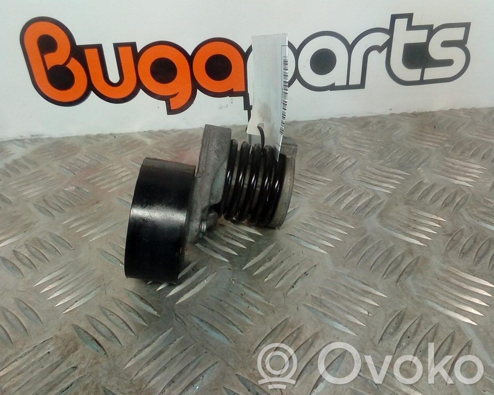 Diržo įtempėjas   117501113R,K9K626