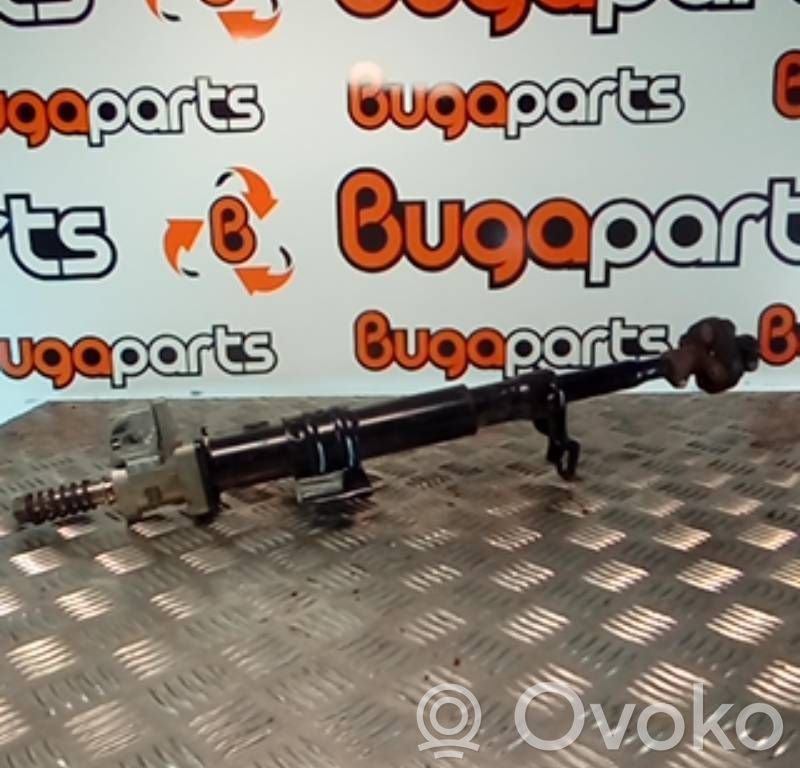 Vairas   26015589