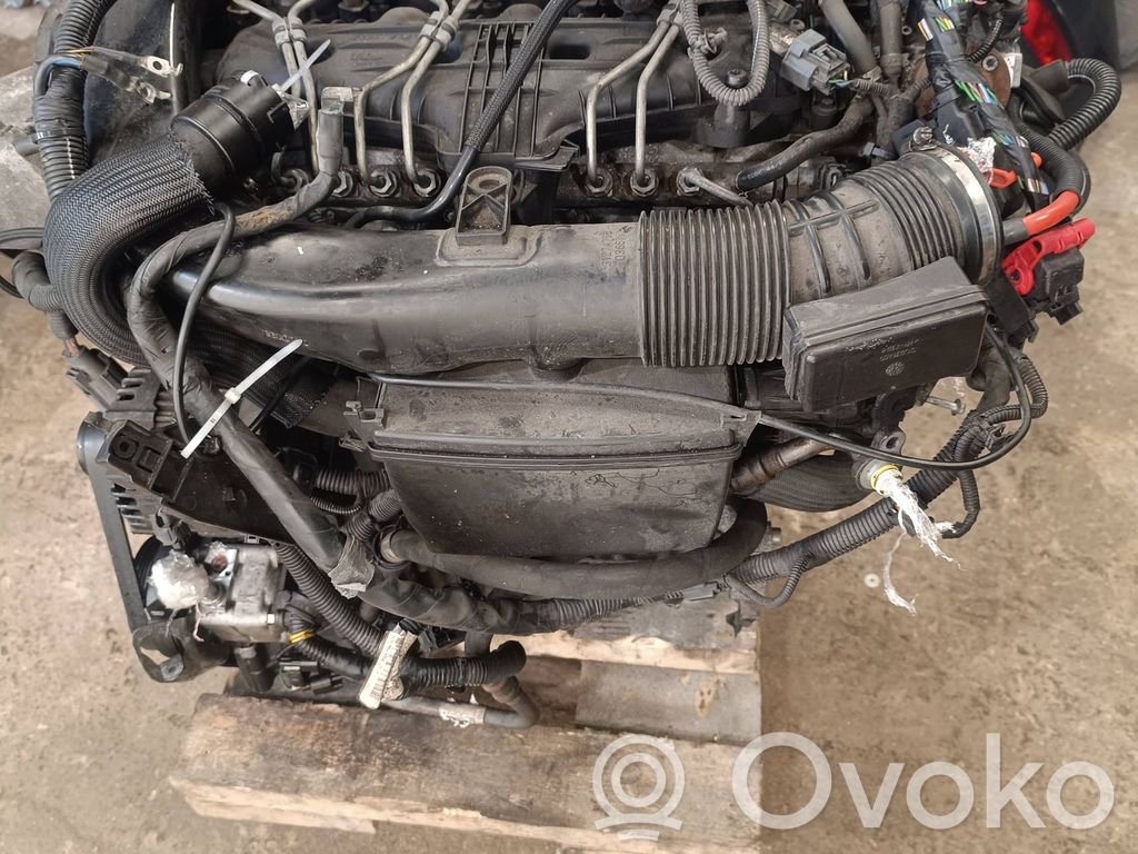 Variklis   D5244T14,30788365,31251467