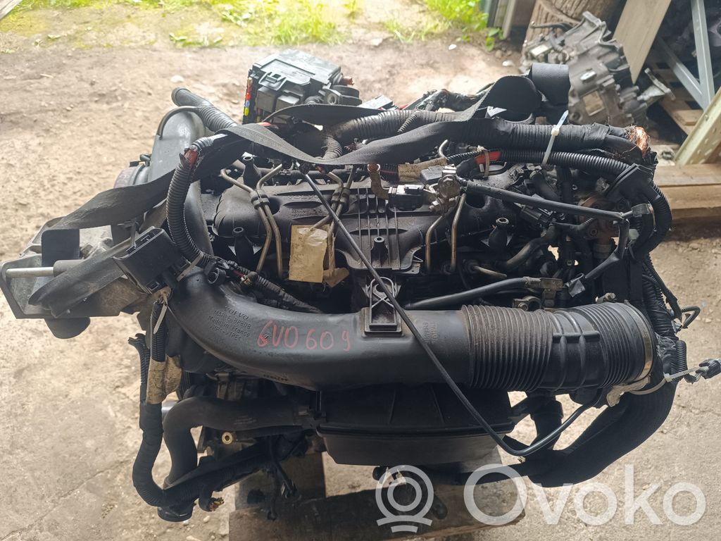 Variklis   D5204T3