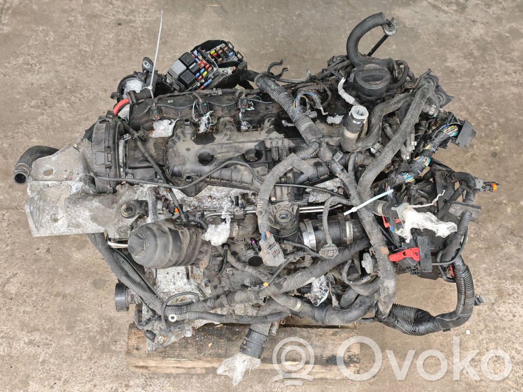 Engine   D5204T