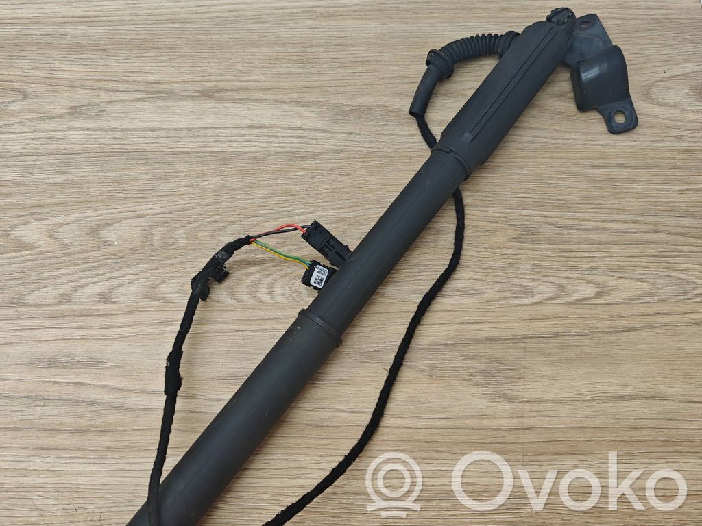 BMW X5 E70 Ammortizzatore portellone posteriore/bagagliaio 