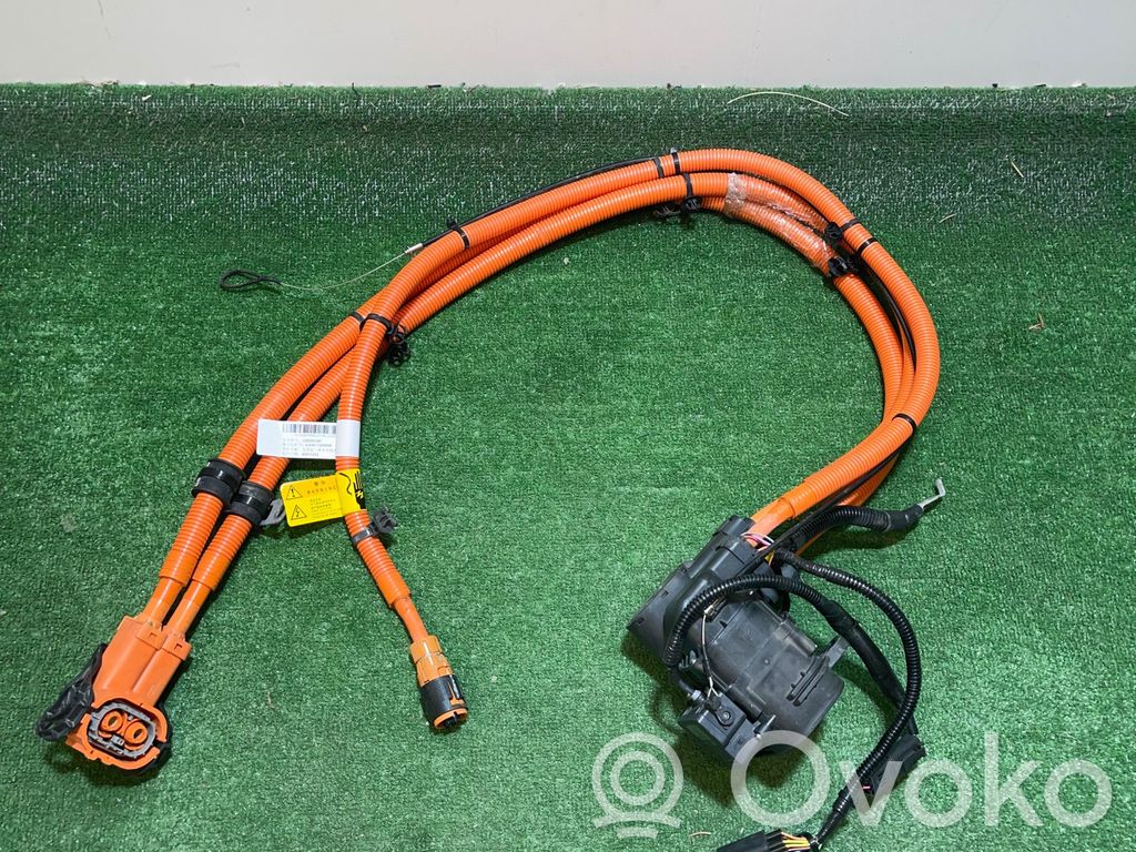 Sähköauton latauskaapeli   C00353387
