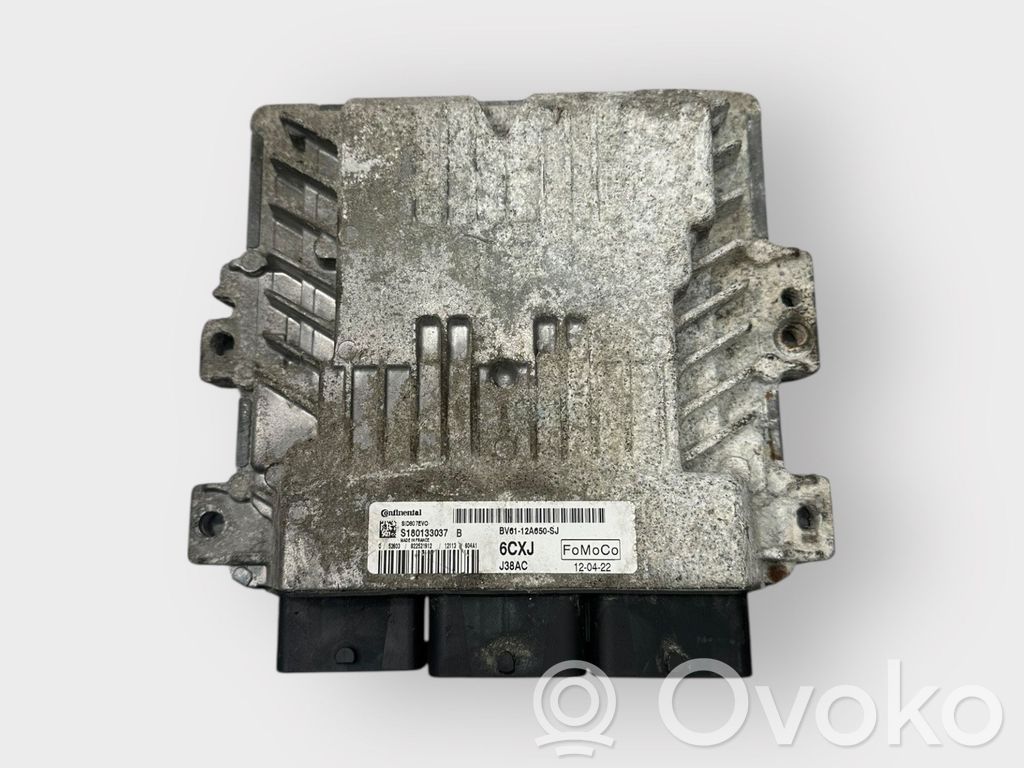 Ford Focus Engine control unit/module 
