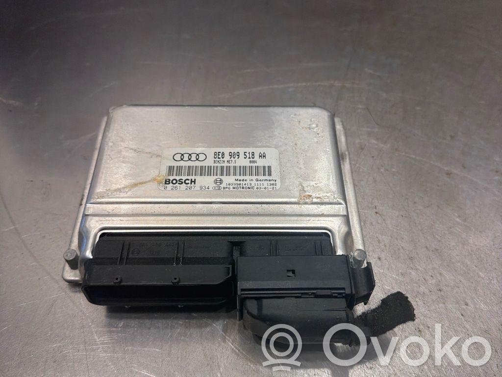 Audi A4 S4 B6 8E 8H Engine control unit/module 